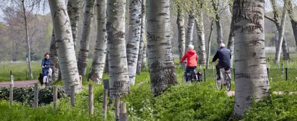 Bicycle streets and wider bicycle paths the Foodvalley region must