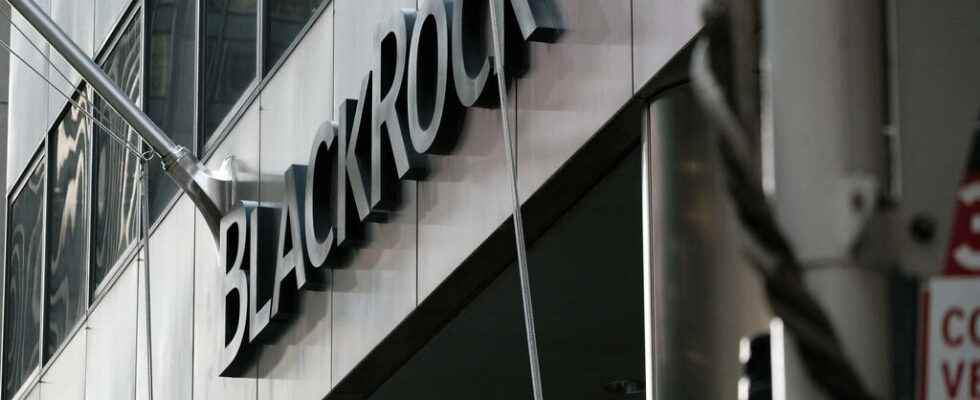 BlackRock records 17 billion losses in Russia