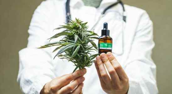 Can you be prescribed medical cannabis in France