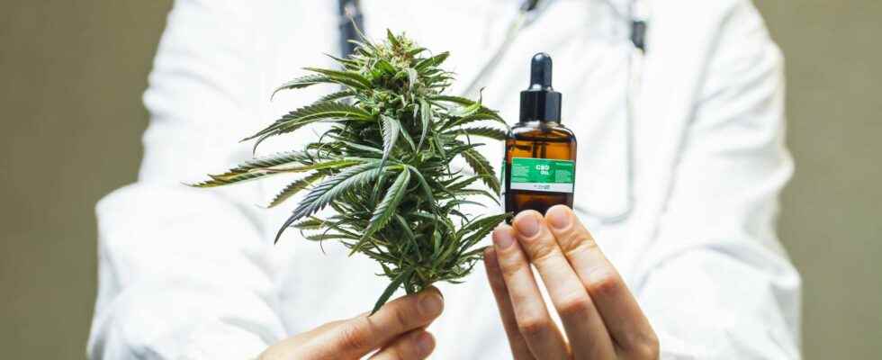 Can you be prescribed medical cannabis in France