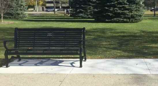 Cap proposed on Sarnia commemorative bench program