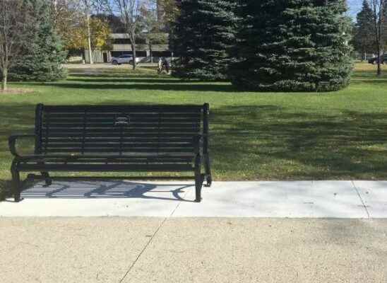 Cap proposed on Sarnia commemorative bench program