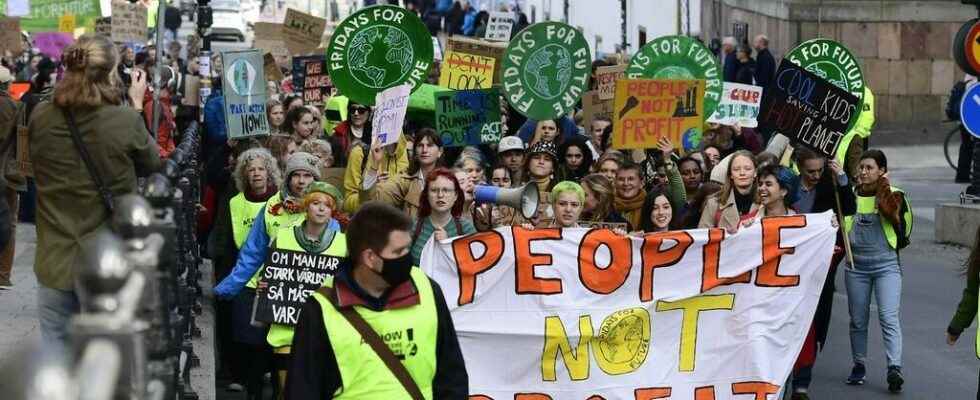 Climate marches resume in Sweden after Covid 19 shutdown