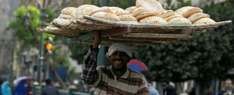 Egypt under threat of wheat shortage caused by war in