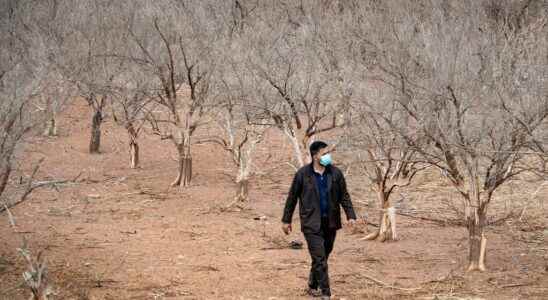 Faced with a historic drought Morocco receives a loan from