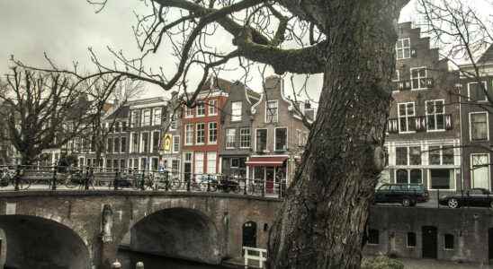 Fact check Compensating for breath of Utrecht residents with trees