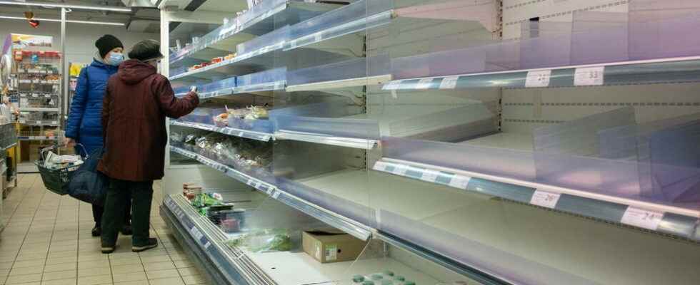 Food supply chains are collapsing in Ukraine says WFP