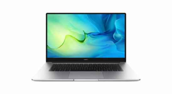 Huawei MateBook D15 R5 review