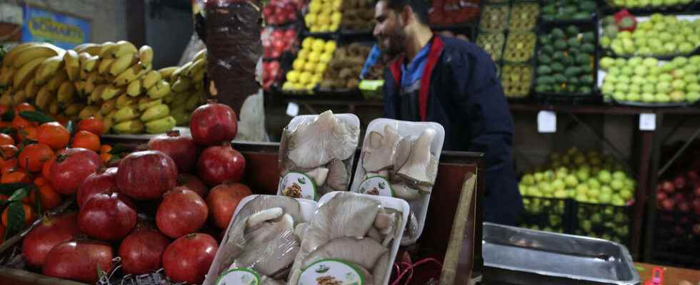 In Syria the rise in prices of basic necessities worries