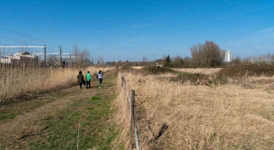 In the fight against housing shortage Utrecht finds more places