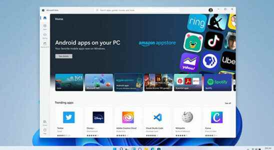 Installing Google Play Store in Windows 11 Nasil yapilir