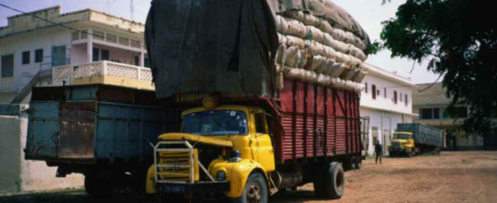 Maintaining sanctions against the Malian junta difficult for Senegalese truck