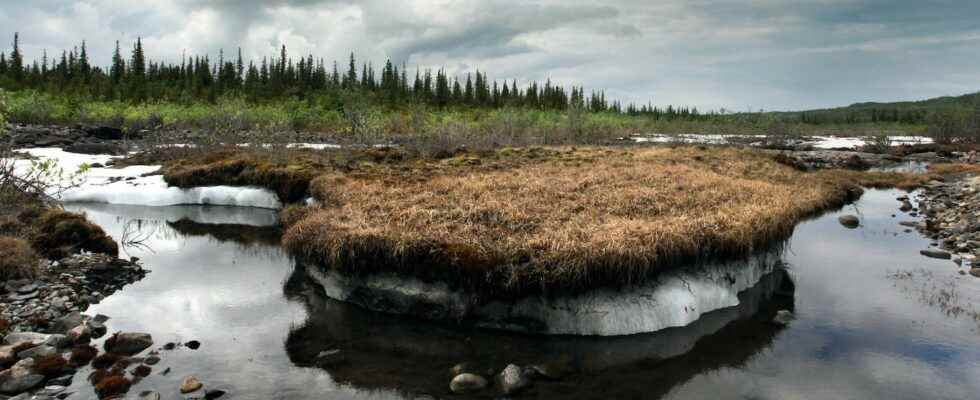 Melting permafrost threatens to release microbes and carbon