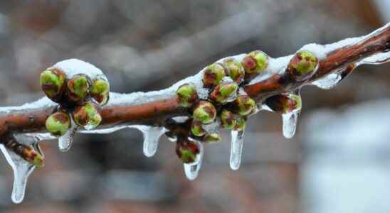 Polar cold wave in France which regions are most at