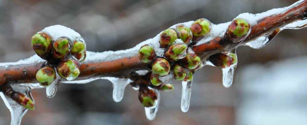 Polar cold wave in France which regions are most at