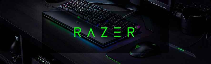 Razer has released its 2021 earnings report