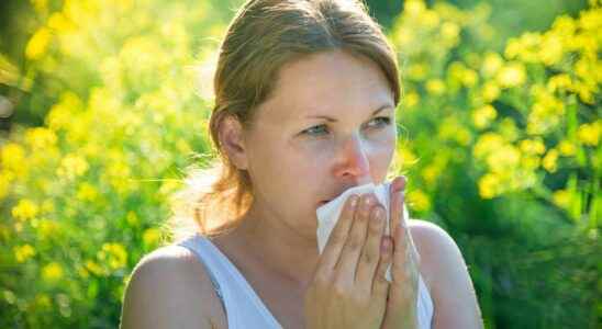 The allergy season will become increasingly intense and long