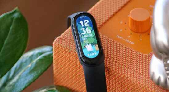 The first information for the Xiaomi Mi Band 7 smart