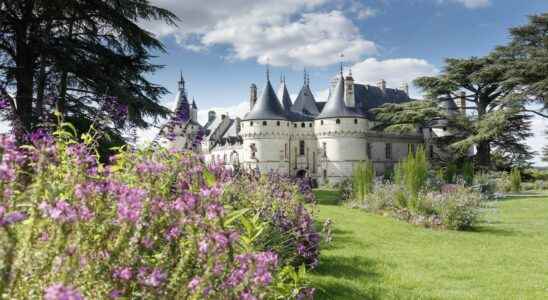 The ideal garden at the International Garden Festival