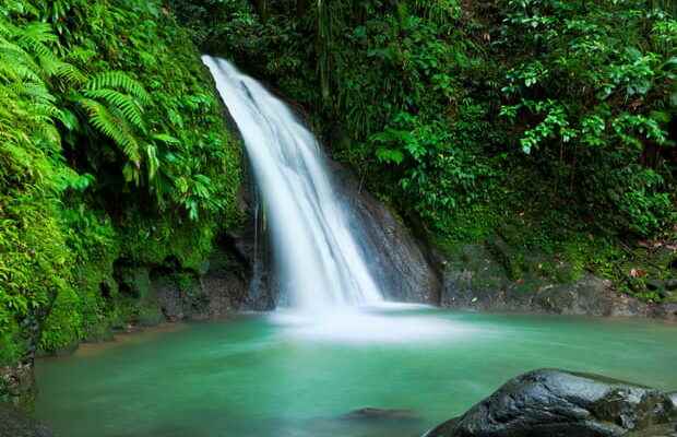 The most beautiful natural parks in France