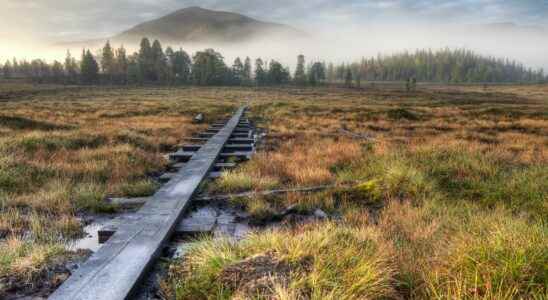 The permafrost is closer to the point of no return