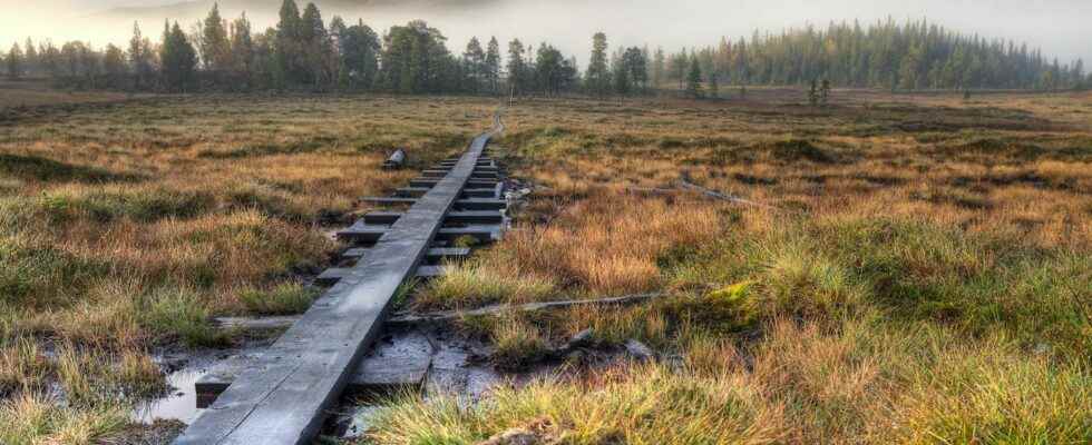 The permafrost is closer to the point of no return