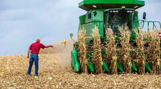 The rise in food prices linked to the war in