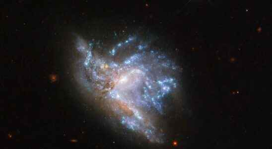 The source of fuel necessary for the growth of galaxies