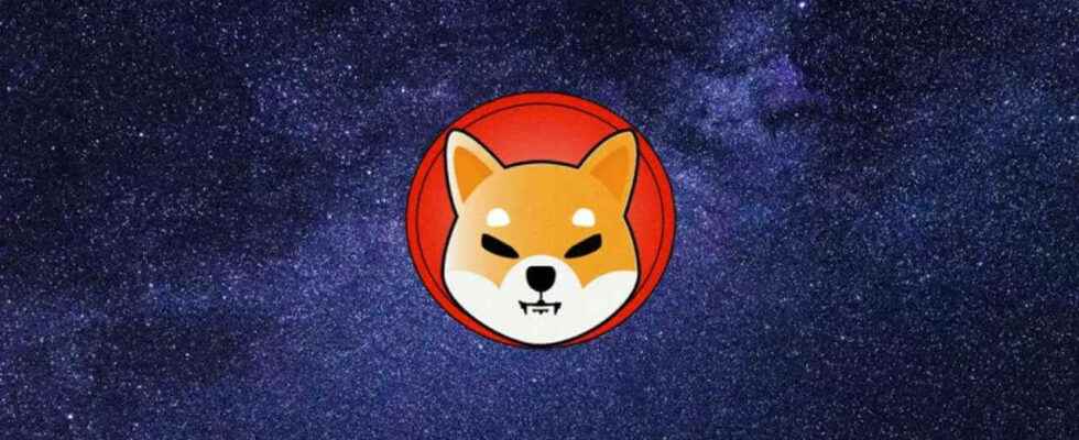 What is Shiba Coin 2022 Shiba Coin Future and Comments