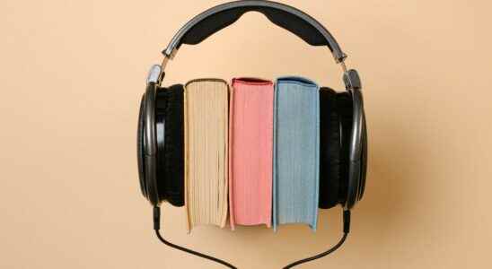 What is an audiobook and how to choose it well