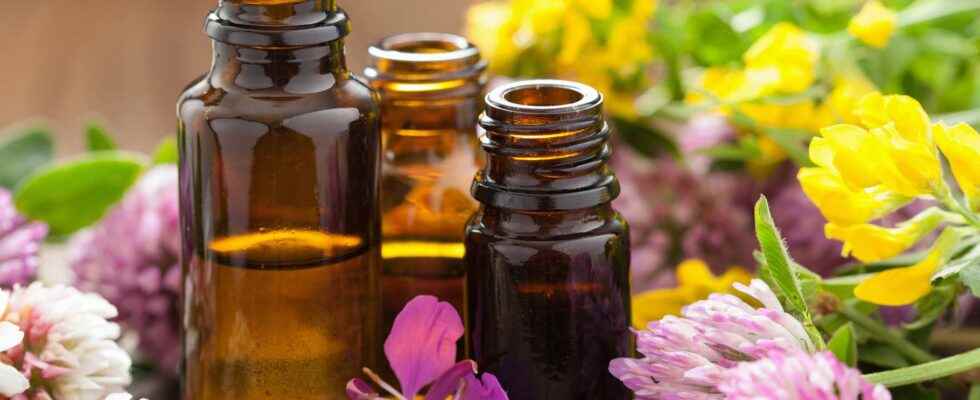 What is the difference between vegetable oil and essential oil