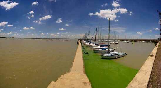 severe pollution on the Vaal River which supplies Gauteng with