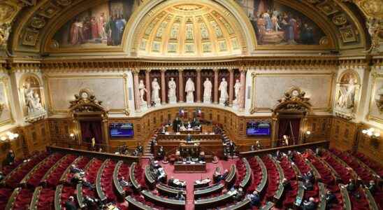 the Senate denounces excessive use of consulting firms by the