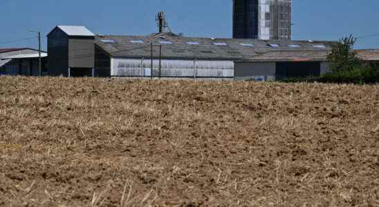 the concern of French cereal farmers in the face of