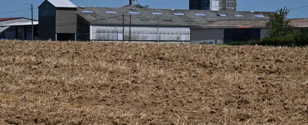 the concern of French cereal farmers in the face of