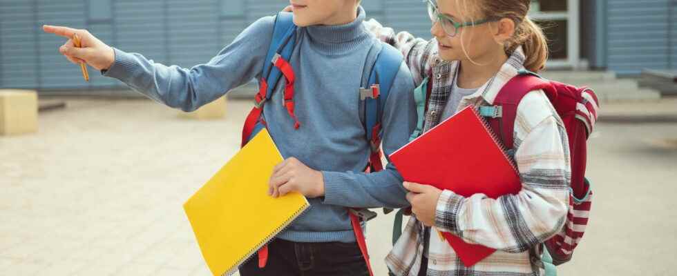 68736 Ukrainian children educated in France