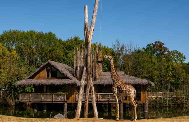 A safari in Kenya in Loire Atlantique