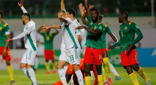 Algeria Cameroon proven corruption The verdict this Thursday