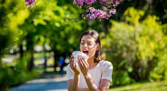 Allergies alert for ash and birch pollen