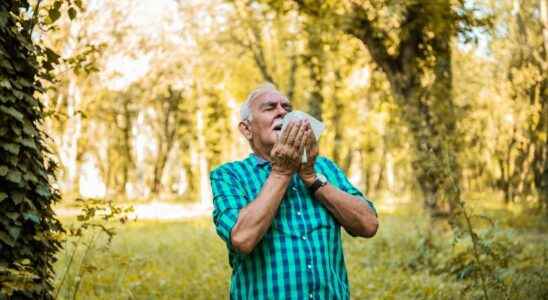 Allergies increase cardiovascular risk