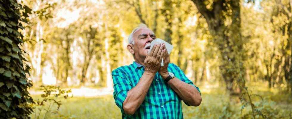 Allergies increase cardiovascular risk