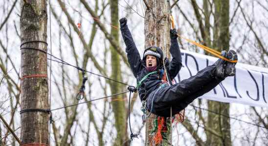 Amelisweerd action group wants to train 3000 tree climbers for