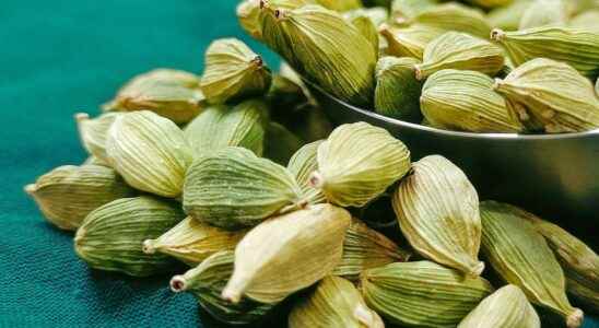 Cardamom a way to fight breast cancer