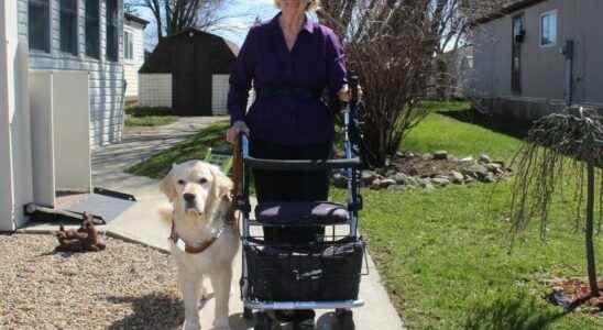 Chatham woman celebrates 50 years having a leader dog