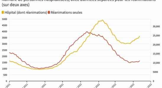 Covid 19 Hospitalizations on the rise host of new variants Update