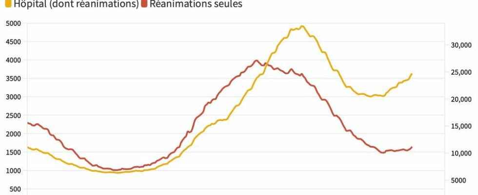 Covid 19 Hospitalizations on the rise host of new variants Update