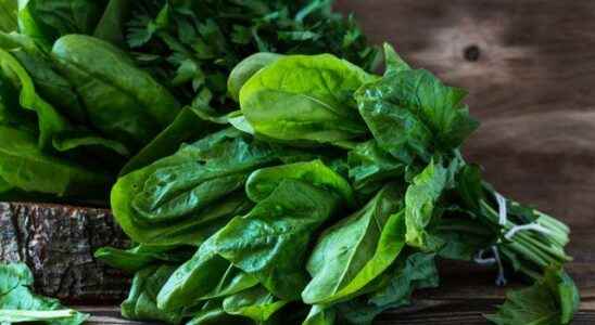 Danger of disease in spinach Risk of food poisoning Do