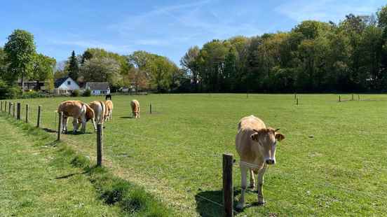 Dozens of Soesters are silently protesting against the construction of