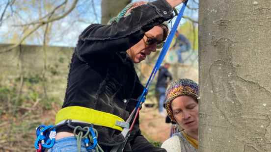 Dozens of people into the tree during climbing training Amelisweerd