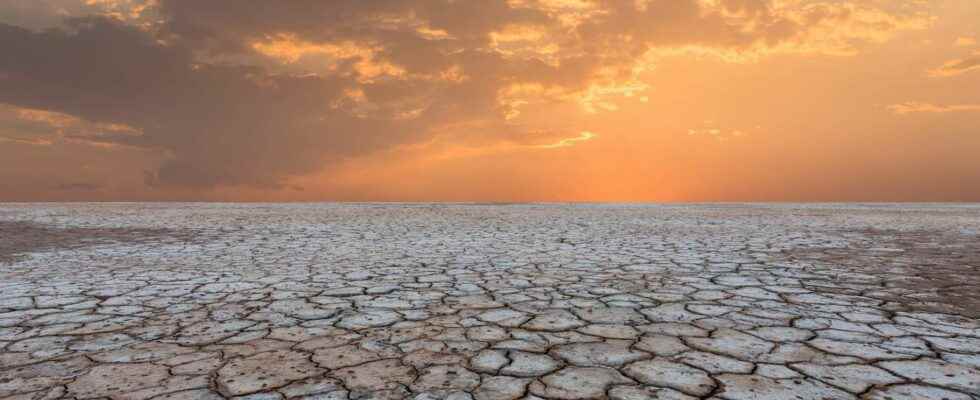 Dreaded flash droughts are becoming more frequent